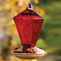 Hummingbird Feeders - Blown Glass